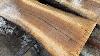 Live Oak Log Stops My Sawmill Dead In Its Track